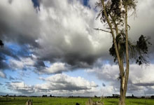 切沃队伍状态回升,期待下一场胜利