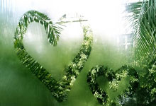 热那亚爆冷战胜拜仁慕尼黑,实现大逆转