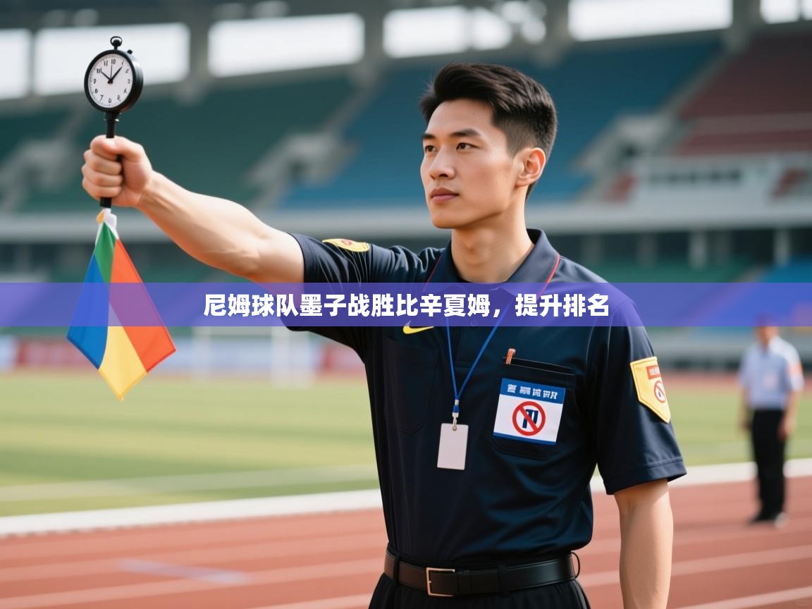 尼姆球队墨子战胜比辛夏姆,提升排名 第1张